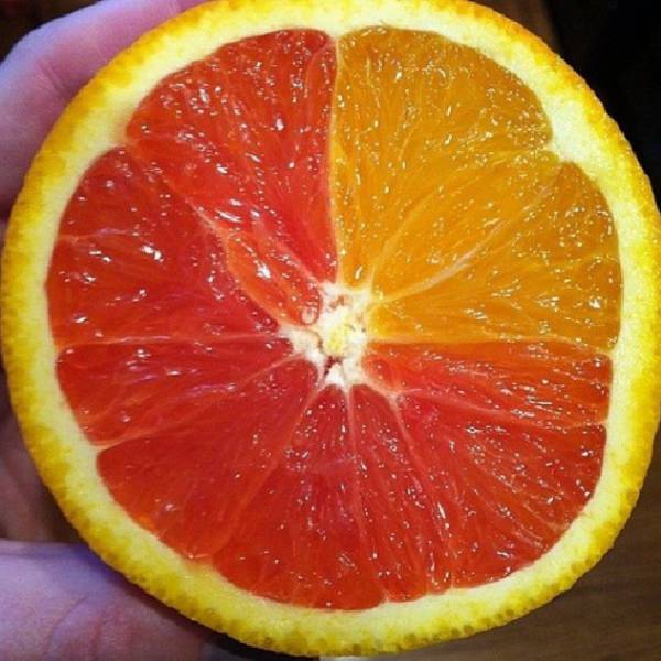 morning picdump 54 pics 11.html - 54 HD Photos | Premium Gallery 2016