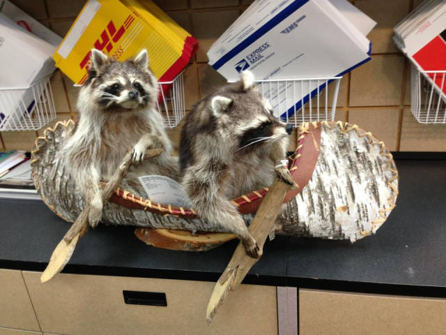 morning picdump 54 pics 11.html - 54 HD Photos | Premium Gallery 2016