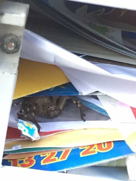 morning picdump 54 pics 11.html - 54 HD Photos | Premium Gallery 2016