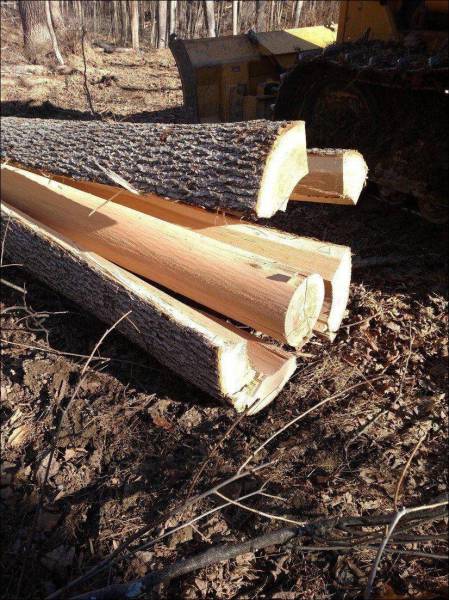 daily picdump 102 pics 46.html - 102 HD Photos | Premium Gallery 2016