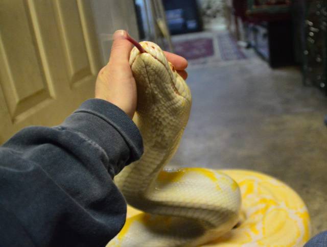 daily picdump 102 pics 46.html - 102 HD Photos | Premium Gallery 2016