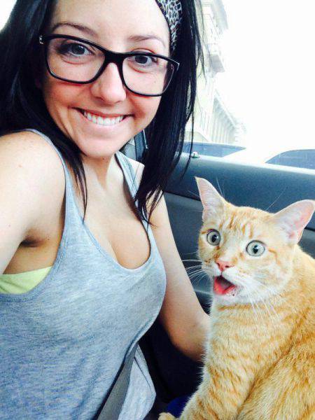 daily picdump 102 pics 46.html - 102 HD Photos | Premium Gallery 2016