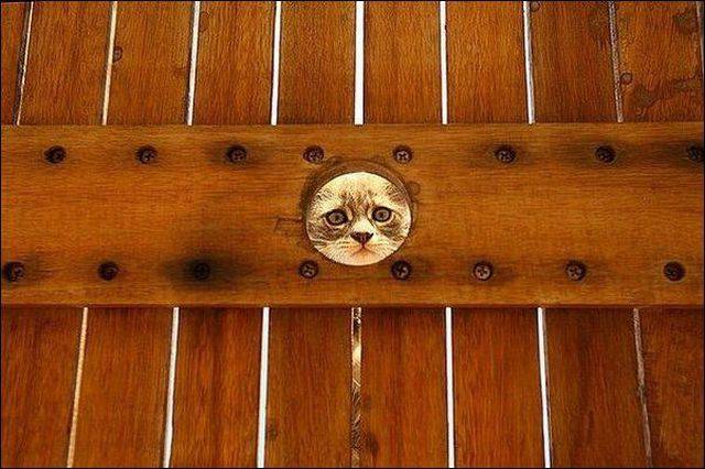 daily picdump 102 pics 46.html - 102 HD Photos | Premium Gallery 2016