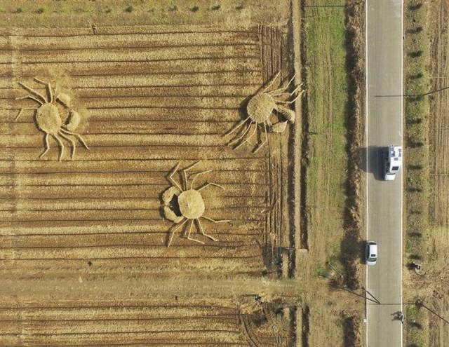 daily picdump 102 pics 46.html - 102 HD Photos | Premium Gallery 2016