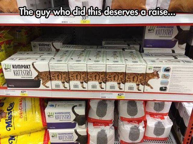 daily picdump 102 pics 46.html - 102 HD Photos | Premium Gallery 2016