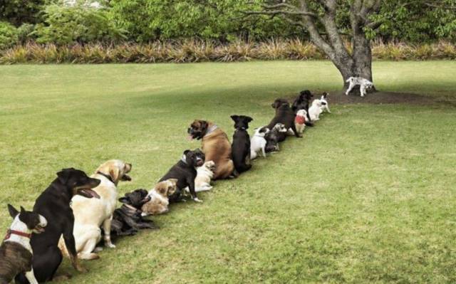 daily picdump 102 pics 46.html - 102 HD Photos | Premium Gallery 2016