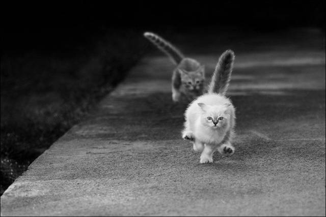 daily picdump 102 pics 46.html - 102 HD Photos | Premium Gallery 2016