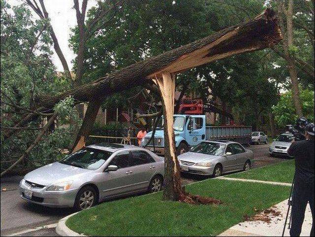 daily picdump 102 pics 46.html - 102 HD Photos | Premium Gallery 2016