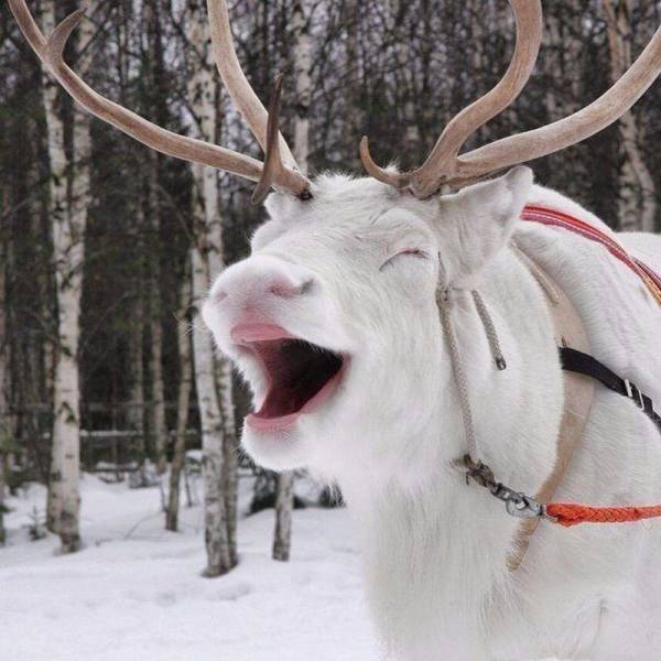 daily picdump 102 pics 46.html - 102 HD Photos | Premium Gallery 2016