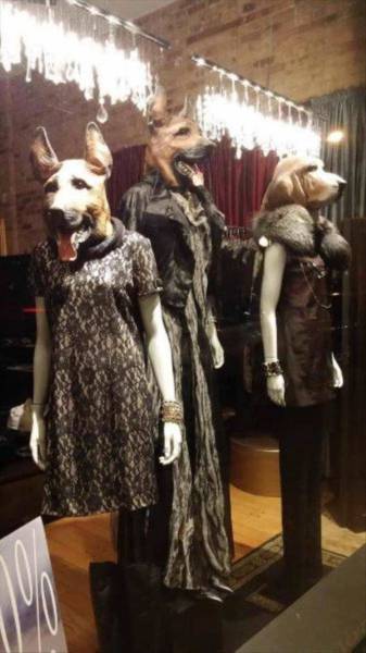 daily picdump 102 pics 46.html - 102 HD Photos | Premium Gallery 2016