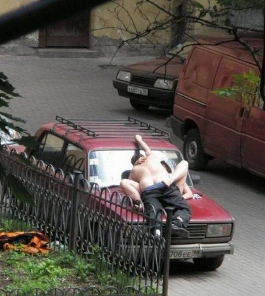 grownup corner 61 pics 12 gifs 21.html - 61 HD GIF | Premium Gallery 2016