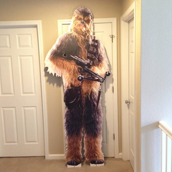 morning picdump 52 pics 12.html - 52 HD Photos | Premium Gallery 2016