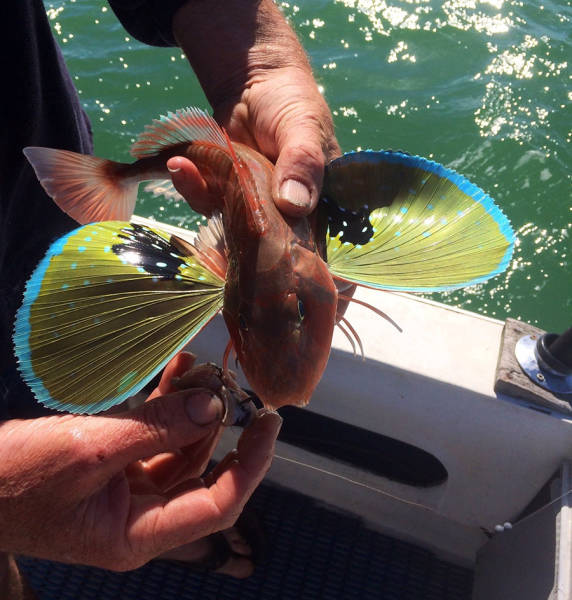 morning picdump 52 pics 12.html - 52 HD Photos | Premium Gallery 2016