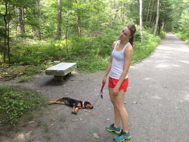 Dogs Can Sleep Anywhere and Everywhere