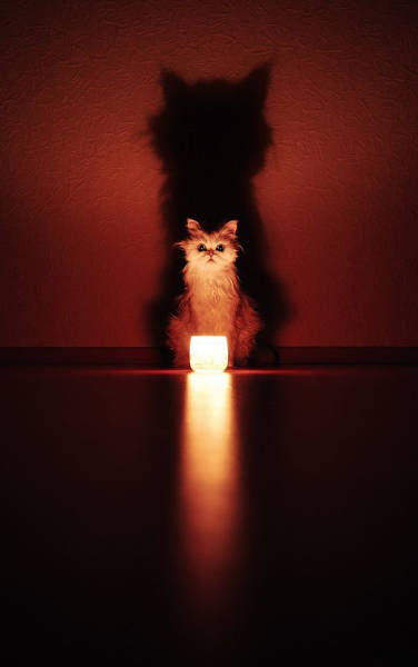 morning picdump 50 pics 13.html - 50 HD Photos | Premium Gallery 2016