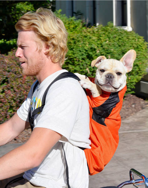 morning picdump 50 pics 13.html - 50 HD Photos | Premium Gallery 2016