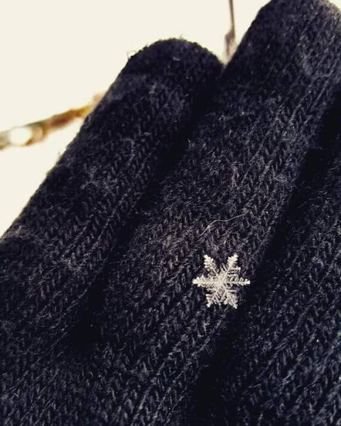 morning picdump 50 pics 13.html - 50 HD Photos | Premium Gallery 2016