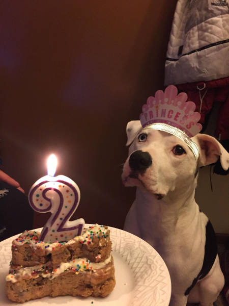 morning picdump 50 pics 13.html - 50 HD Photos | Premium Gallery 2016