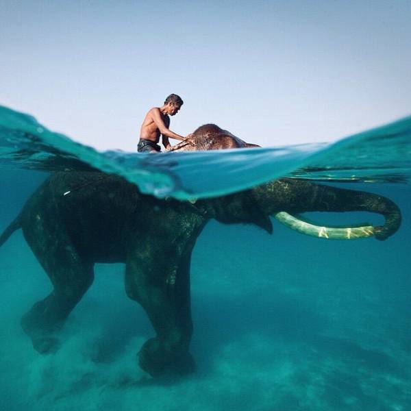 morning picdump 50 pics 13.html - 50 HD Photos | Premium Gallery 2016