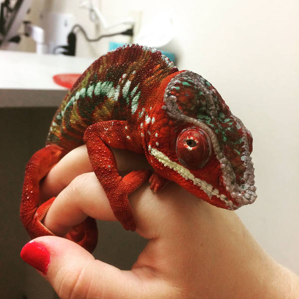 morning picdump 50 pics 13.html - 50 HD Photos | Premium Gallery 2016