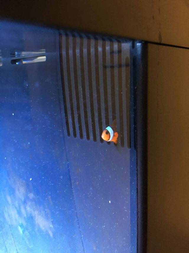 morning picdump 54 pics 12.html - 54 HD Photos | Premium Gallery 2016