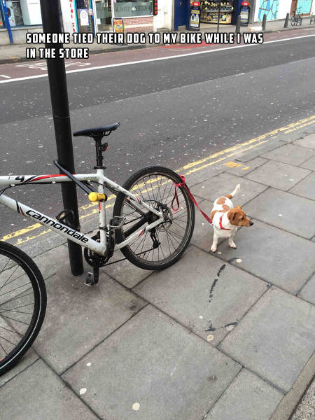 morning picdump 54 pics 3.html - 54 HD Photos | Premium Gallery 2016