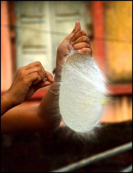 morning picdump 54 pics 3.html - 54 HD Photos | Premium Gallery 2016