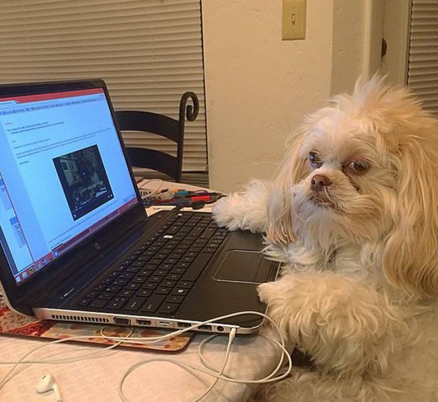 morning picdump 54 pics 3.html - 54 HD Photos | Premium Gallery 2016