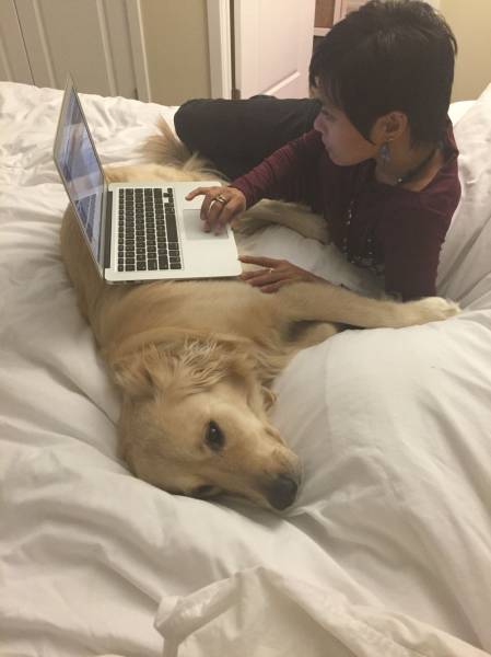 morning picdump 54 pics 3.html - 54 HD Photos | Premium Gallery 2016