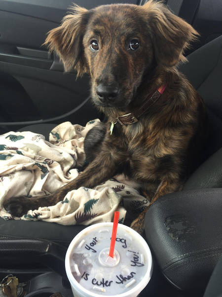 morning picdump 54 pics 3.html - 54 HD Photos | Premium Gallery 2016