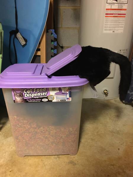 morning picdump 51 pics 3.html - 51 HD Photos | Premium Gallery 2016