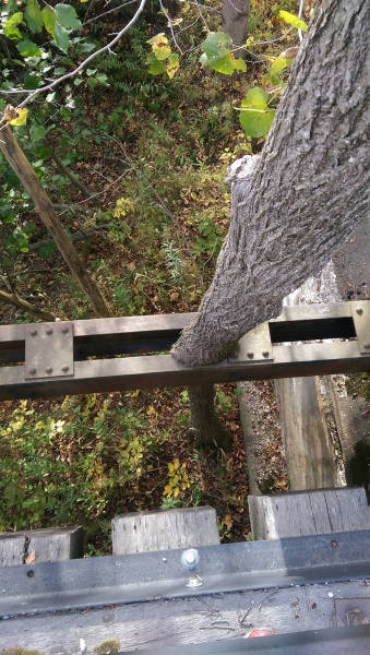 morning picdump 51 pics 3.html - 51 HD Photos | Premium Gallery 2016