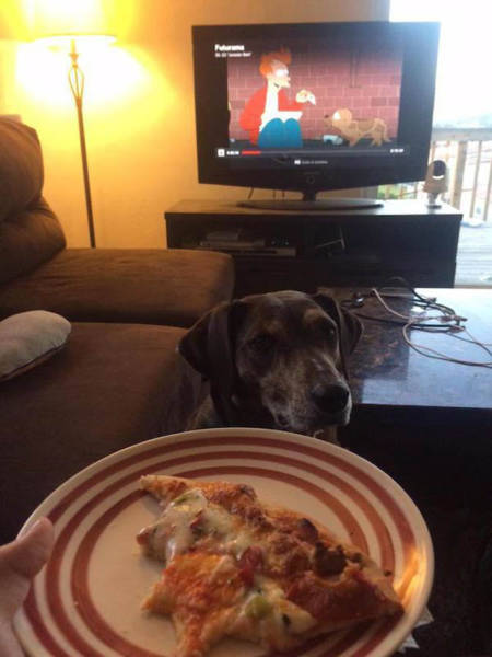 Life Is Full of Funny Coincidences