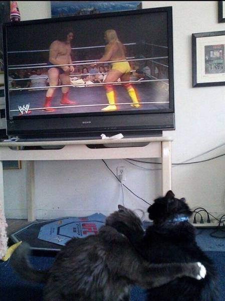 Life Is Full of Funny Coincidences