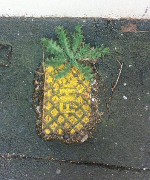 Life Is Full of Funny Coincidences