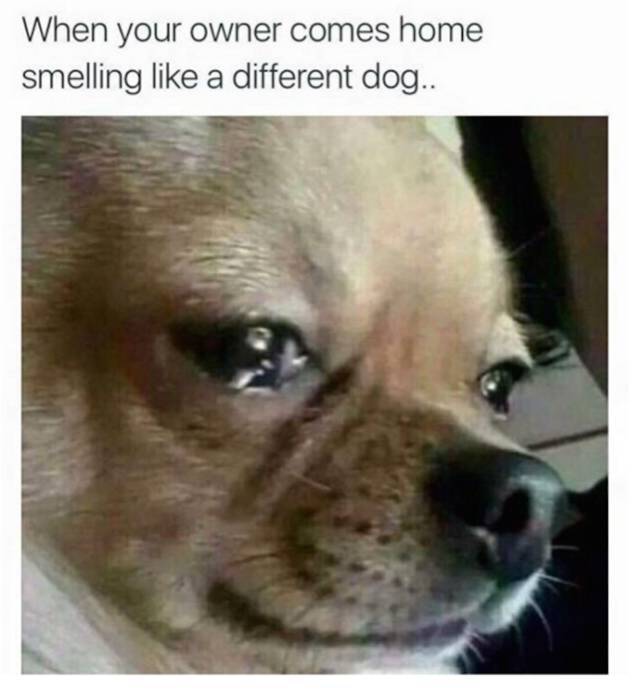 A Few Oh Sh#t Situations