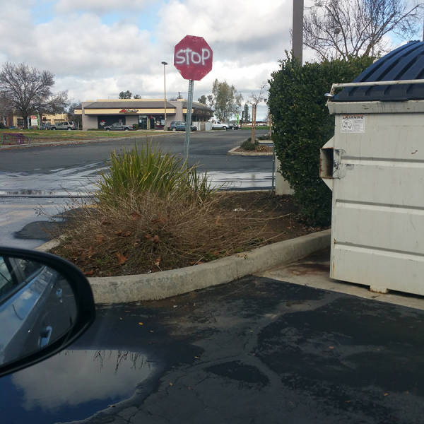 morning picdump 52 pics 6.html - 52 HD Photos | Premium Gallery 2016