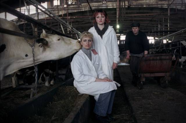 morning picdump 52 pics 6.html - 52 HD Photos | Premium Gallery 2016