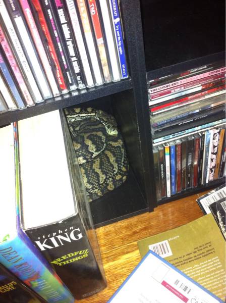 morning picdump 52 pics 15.html - 52 HD Photos | Premium Gallery 2016