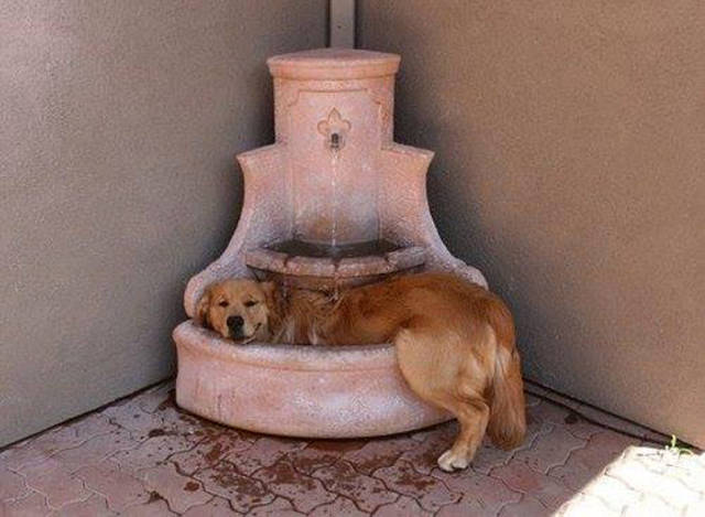 morning picdump 52 pics 12.html - 52 HD Photos | Premium Gallery 2016