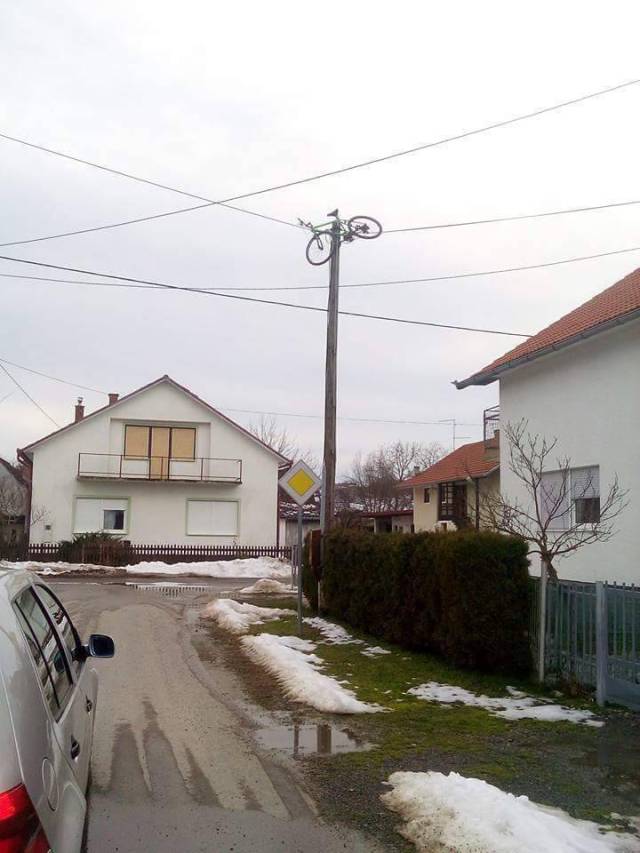 morning picdump 52 pics 12.html - 52 HD Photos | Premium Gallery 2016