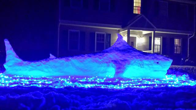 morning picdump 50 pics 2.html - 50 HD Photos | Premium Gallery 2016