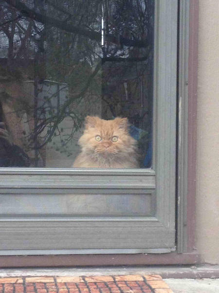 morning picdump 50 pics 2.html - 50 HD Photos | Premium Gallery 2016