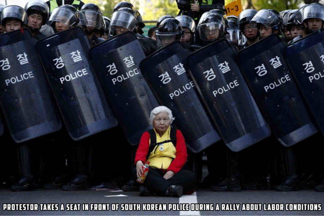 Morning Picdump