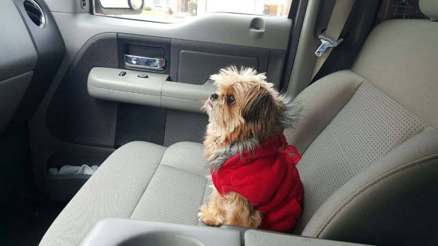 morning picdump 52 pics 10.html - 52 HD Photos | Premium Gallery 2016