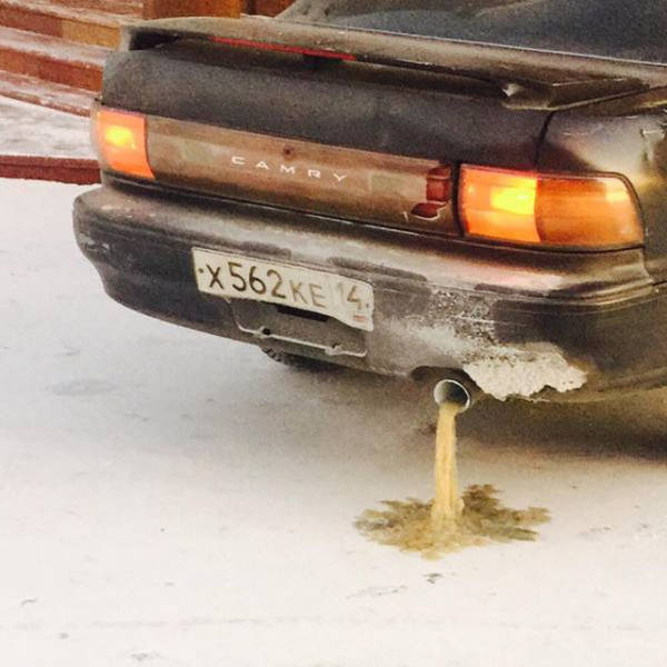 Morning Picdump