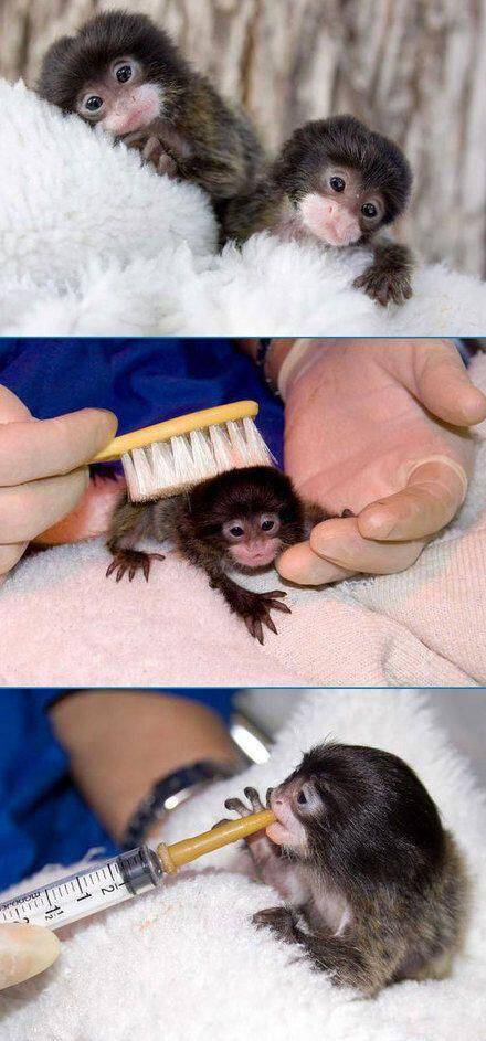 morning picdump 53 pics 16.html - 53 HD Photos | Premium Gallery 2016