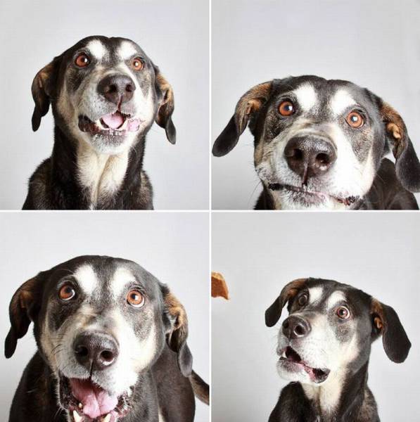 daily picdump 112 pics 47.html - 112 HD Photos | Premium Gallery 2016