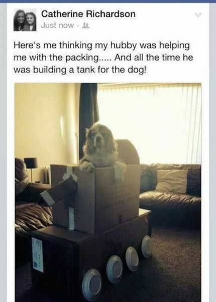 daily picdump 112 pics 47.html - 112 HD Photos | Premium Gallery 2016