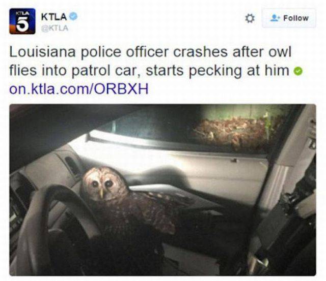 daily picdump 112 pics 47.html - 112 HD Photos | Premium Gallery 2016